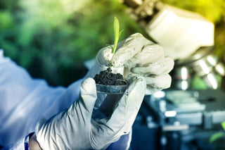 Why is it necessary to perform a soil analysis?