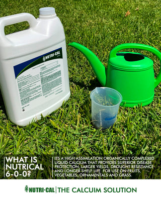 Nutri-Cal Liquid Fertilizer- Rapid Calcium Deficiency Correction for Plants