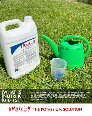 Nutri-K Potassium Fertilizer for Plants