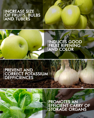 Nutri-K Potassium Fertilizer for Plants