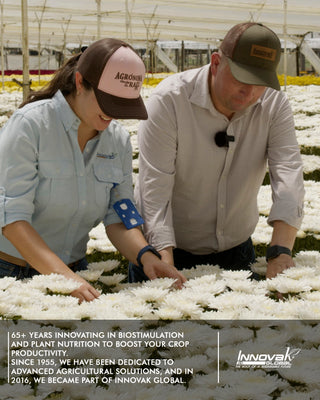 Nutri-Cal Liquid Fertilizer- Rapid Calcium Deficiency Correction for Plants